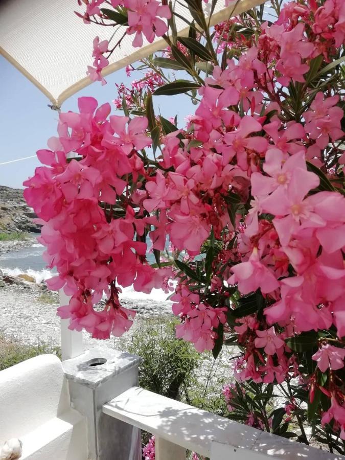 "Sea Front" Rose'S House Villa Kardhianí Eksteriør billede