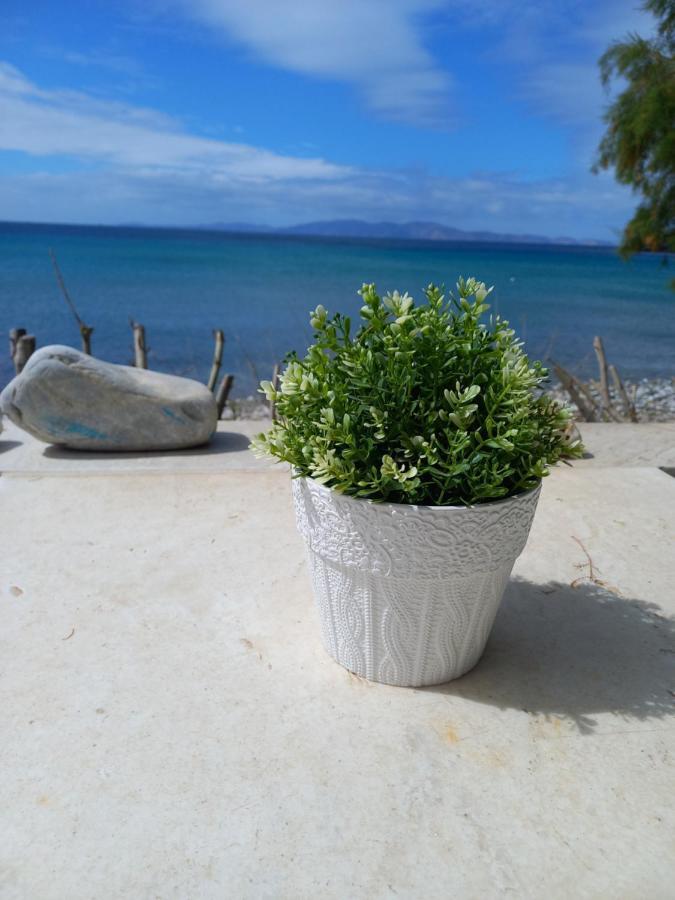 "Sea Front" Rose'S House Villa Kardhianí Eksteriør billede